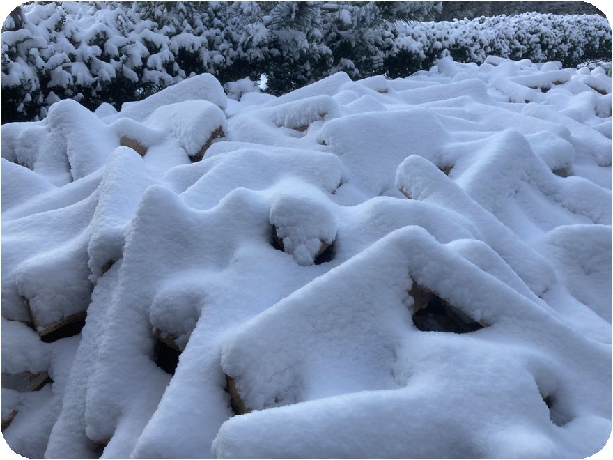 雪に埋もれた薪