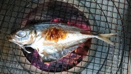 鯵の干物が焼けた