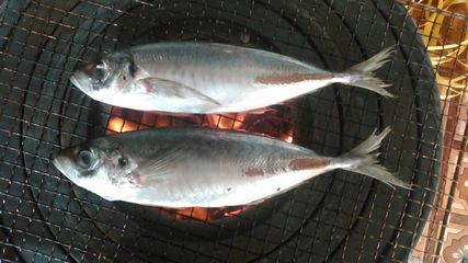 鯵の塩焼き