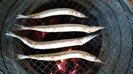 サヨリ焼き上がり